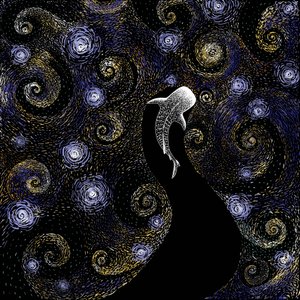 Hvalhajens stjerneklare nat af Alirıza ÇAKIR