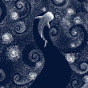 Hvalhajen i det stjerneklare hav af Alirıza ÇAKIR