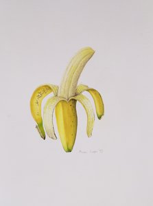 En halvskrællet banan, 1997