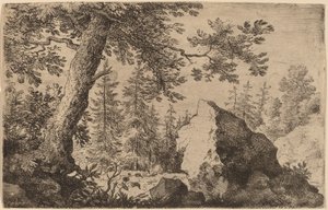 Boulder i skoven af Allart van Everdingen
