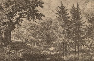 Grantræer ved vandet, sandsynligvis ca. 16451656. af Allart van Everdingen