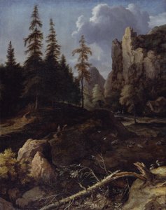 Norsk bjerglandskab af Allart van Everdingen
