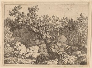 Sportsmand nær et stort træ, sandsynligvis ca. 16451656. af Allart van Everdingen