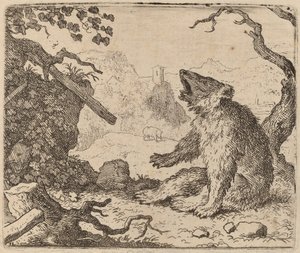 Bjørnen sendt som budbringer, sandsynligvis ca. 16451656. af Allart van Everdingen