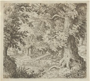 Bækken i skoven, 1600-tallet. af Allart van Everdingen