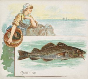 Codfish, fra Fish fra American Waters serie N39 til Allen & Ginter Cigaretter, 1889.