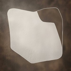 Organisk minimalistisk form