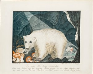 Den hvide bjørn, 1844