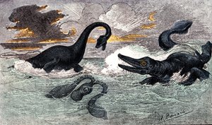 Lias-periode (nedre jura): Plesiosaur og Ichthyosaur, naturlig skabelse og levende væsener (af Jules Renegade) Tegning af A. Demarle. 1885