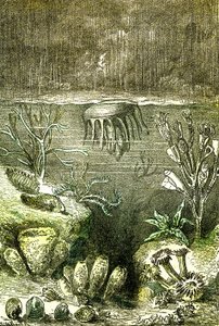 Prehistoire-Terre et Mers: Silurtidens begyndelse (J. Rengade. Tegning af Demarle. 1885 af Alphonse Demarle