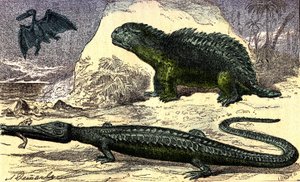 Forhistorie - Jurassic Period: Teleosauren og Hyleosauren. Pterodactylen ovenpå. Naturlig skabelse og levende væsener. Tegning af A. Demarle. 1885
