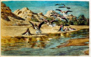 Illustration af Dinet fra 