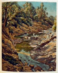 Illustration af Dinet fra 