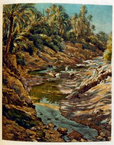 Illustration af Dinet fra 