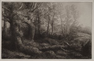 Et skovstudie af Alphonse Legros