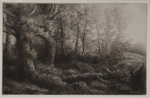Et skovstudie. af Alphonse Legros