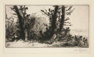 En travers champ (på tværs af landet) af Alphonse Legros