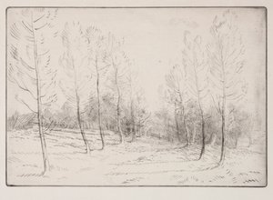 Popler Avenue af Alphonse Legros