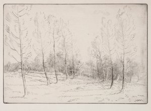 Popler Avenue. af Alphonse Legros