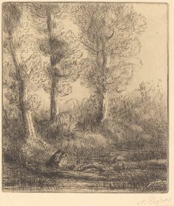 Saint-Pre-bredden (Rive du Saint-Pre) af Alphonse Legros