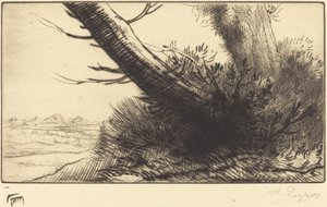Hjørne af en sti af Alphonse Legros