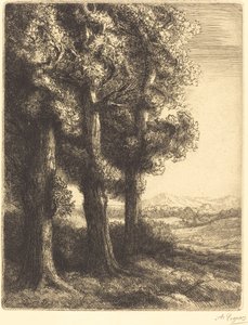 Hjørne af en skov (Coin d