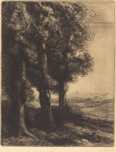 Hjørne af en skov (Coin d