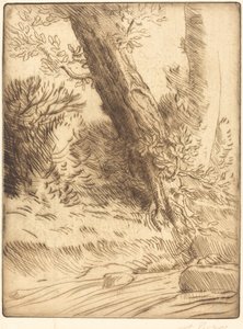 Edge of a Brook (Bord de ruisseau) af Alphonse Legros