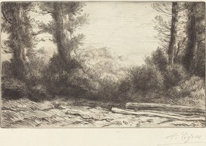 Kant af et træ Lisiere de bois. af Alphonse Legros
