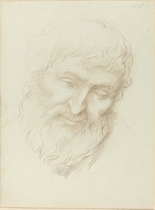 Hoved af en mand. af Alphonse Legros