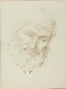 En mands hoved af Alphonse Legros
