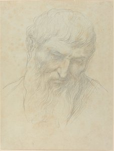 Hoved af en mand med krøllet hår og skæg af Alphonse Legros