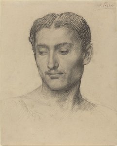 Leder af en ung mand af Alphonse Legros