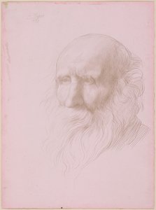 Hoved af en gammel mand af Alphonse Legros