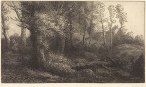  af Alphonse Legros