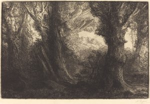 I Conteville-skoven (Dans la foret de Conteville) af Alphonse Legros