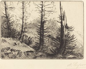 I Pyrenæerne I Pyrenæerne. af Alphonse Legros