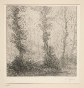 Den Lille Sø af Alphonse Legros