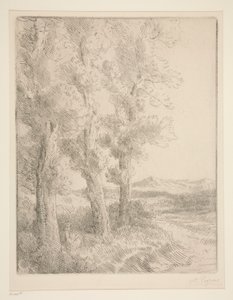 Kvindelæsning: Lektion under træerne af Alphonse Legros