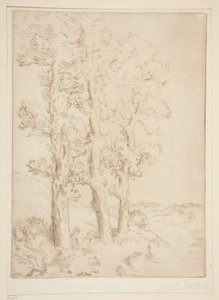 Kvindelæsning: Lektion under træerne af Alphonse Legros