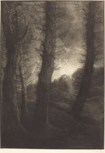 Store træer set mod solen af Alphonse Legros