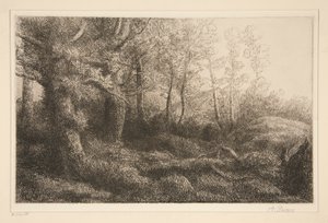 skovbryn af Alphonse Legros