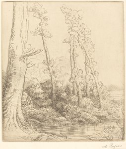 Lille Pond La petite hoppe. af Alphonse Legros