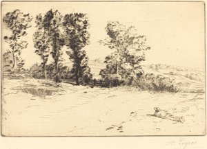 Eng i Sunshine Le pre ensoleille. af Alphonse Legros