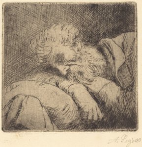 Sovende tigger Sovende tigger. af Alphonse Legros