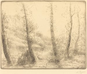 Lille sø Den lille sø. af Alphonse Legros