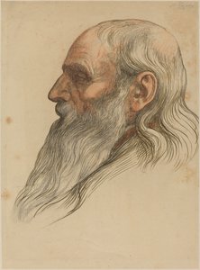 Studie af en mands hoved med fuldskæg. af Alphonse Legros
