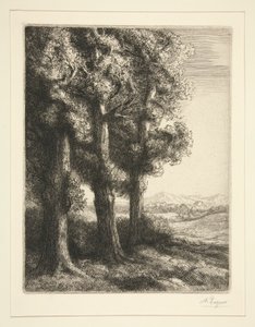 Tre træer af Alphonse Legros