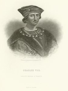 Karl VIII af Alphonse Marie de Neuville