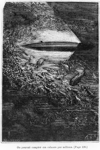 Illustration fra 